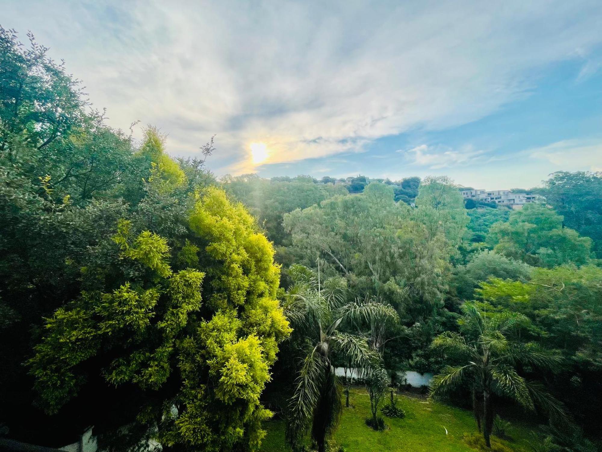 Pretoria Mansion Boutique Hotel Coral Tree Exterior photo